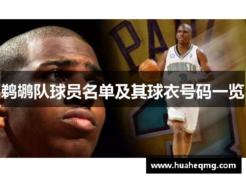 鹈鹕队球员名单及其球衣号码一览